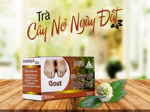Trà Nở Ngày Đất (hộp 30 túi lọc)–Dành Cho Người Bệnh Gút, Acid Uric Cao