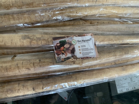 Ngưu báng tươi Nhật Bản 1kg