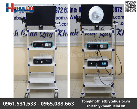 Máy Nội Soi Tai Mũi Họng Nguồn Sáng LED Full HD 168B | Huê Lợi