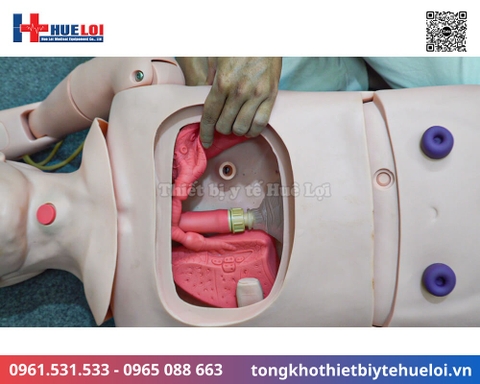 Mô hình thực hành điều dưỡng bệnh nhân cao cấp