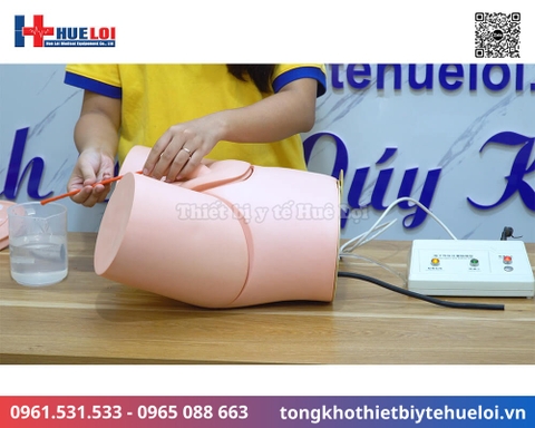 Mô hình đặt sonde tiểu và thụt tháo nam nữ đa năng