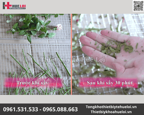Tủ Sấy Thuốc Đông Y Cao Cấp 30 Tầng 60 Khay Thép 304 Độ Bền Cao