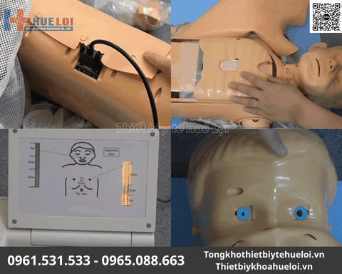 Mô Hình Thực Hành Cấp Cứu Ngừng Tuần Hoàn Trẻ Em Có Monitor
