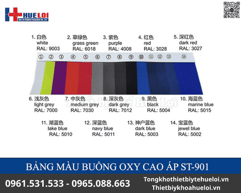 Buồng Oxy Áp Suất Cao ST-901 Chính Hãng | Huê Lợi
