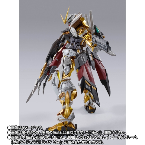 METAL BUILD Divine Striker (Alternative Strike Ver.)