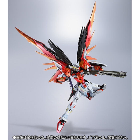 METAL BUILD Destiny Gundam (Heine Ver)