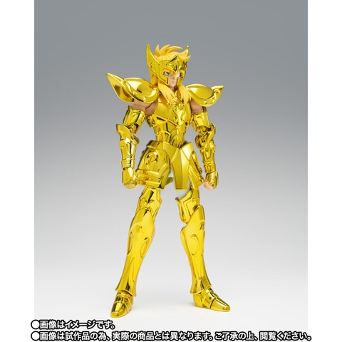 SAINT CLOTH MYTH EX Aquarius Hyoga -Inheritor Of The Gold Cloth-