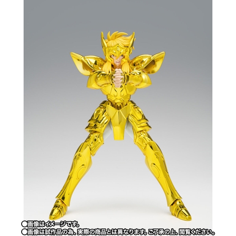 SAINT CLOTH MYTH EX Aquarius Hyoga -Inheritor Of The Gold Cloth-
