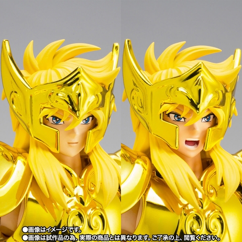 SAINT CLOTH MYTH EX Aquarius Hyoga -Inheritor Of The Gold Cloth-