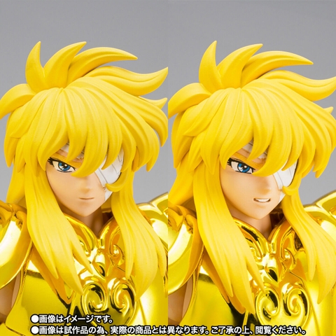 SAINT CLOTH MYTH EX Aquarius Hyoga -Inheritor Of The Gold Cloth-
