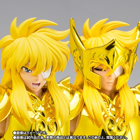 SAINT CLOTH MYTH EX Aquarius Hyoga -Inheritor Of The Gold Cloth-