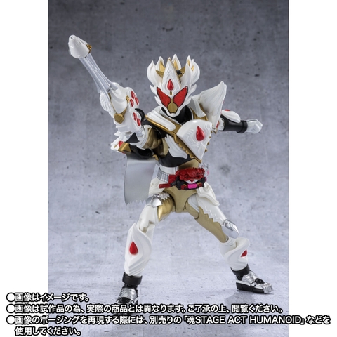 S.H.Figuarts Kamen Rider Gavv Caking Form