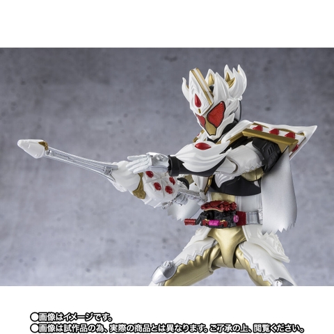 S.H.Figuarts Kamen Rider Gavv Caking Form