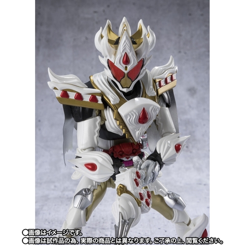 S.H.Figuarts Kamen Rider Gavv Caking Form