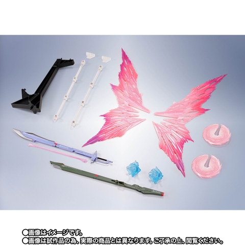METAL ROBOT SPIRITS <SIDE MS> Wing Of Light & Effect Set For Destiny Gundam [Re:Coordinate]