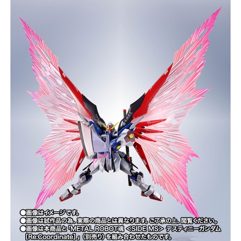 METAL ROBOT SPIRITS <SIDE MS> Wing Of Light & Effect Set For Destiny Gundam [Re:Coordinate]