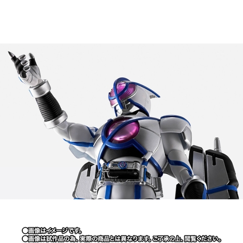 S.H.Figuarts (SHINKOCCHOU SEIHOU) Kamen Rider Psyga