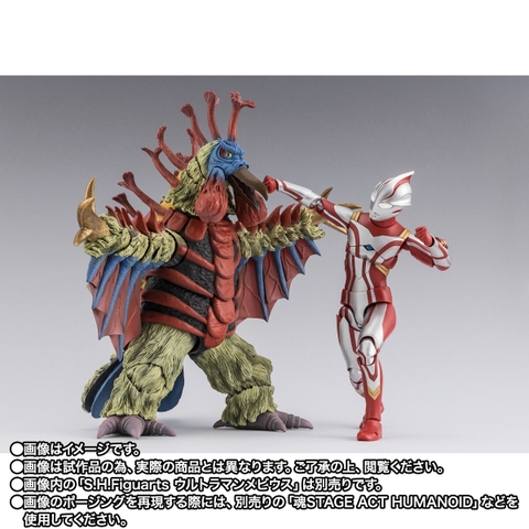 S.H.Figuarts Birdon
