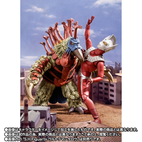 S.H.Figuarts Birdon