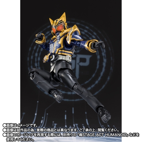 S.H.Figuarts Kamen Rider Na-Go Fantasy Form