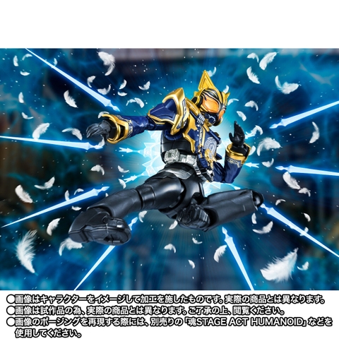 S.H.Figuarts Kamen Rider Na-Go Fantasy Form
