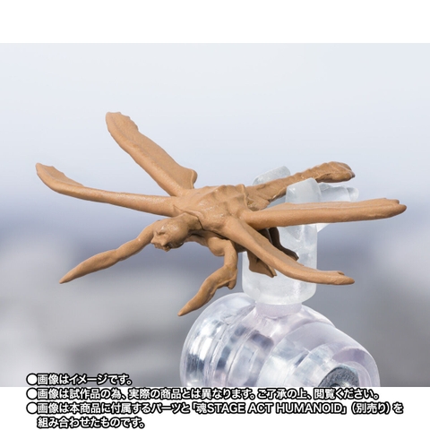 S.H.MonsterArts Megaguirus Evolution Set