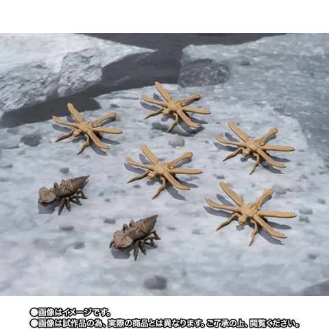 S.H.MonsterArts Megaguirus Evolution Set
