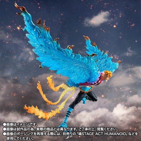 S.H.Figuarts Marco -Marineford-