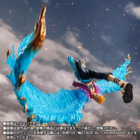 S.H.Figuarts Marco -Marineford-