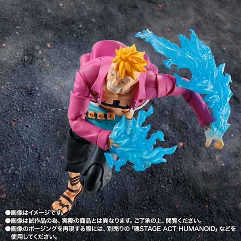 S.H.Figuarts Marco -Marineford-