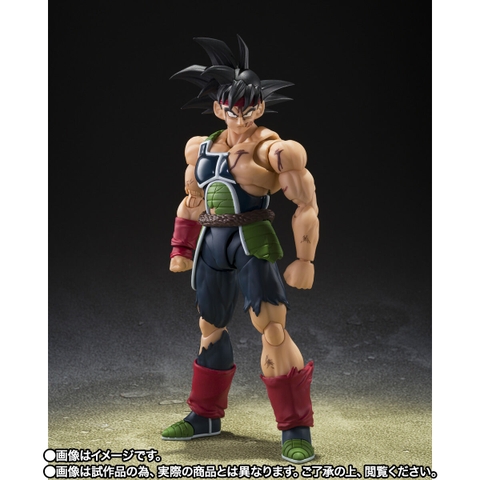 S.H.Figuarts Bardock -The Final Battle-