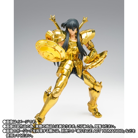 SAINT CLOTH MYTH EX Libra Shiryu -Inheritor Of The Gold Cloth-