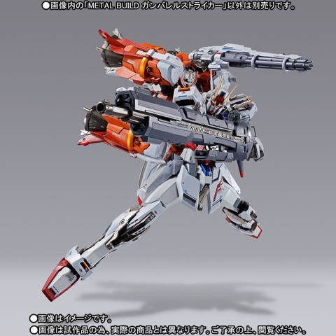 METAL BUILD Gunbarrel Striker