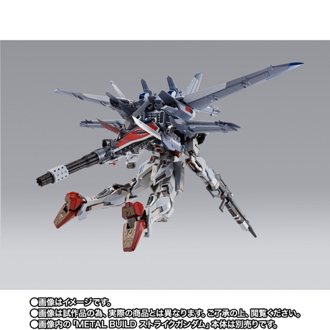 METAL BUILD I.W.S.P. [Integrated Weapons Striker Pack]