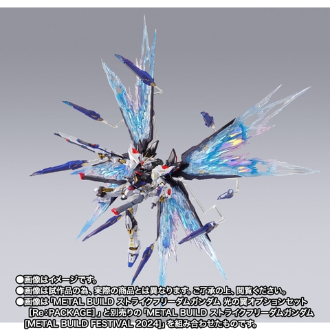 METAL BUILD Strike Freedom Gundam Wing of Light Option Set SOUL BLUE Ver.