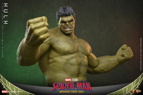 [Pre-order] [Movie Masterpiece] (Spider-Man: Brand New Day) 1/6 Scale Figure Hulk