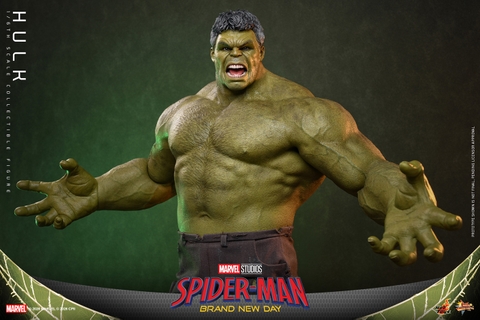 [Pre-order] [Movie Masterpiece] (Spider-Man: Brand New Day) 1/6 Scale Figure Hulk