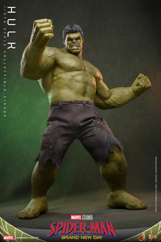 [Pre-order] [Movie Masterpiece] (Spider-Man: Brand New Day) 1/6 Scale Figure Hulk