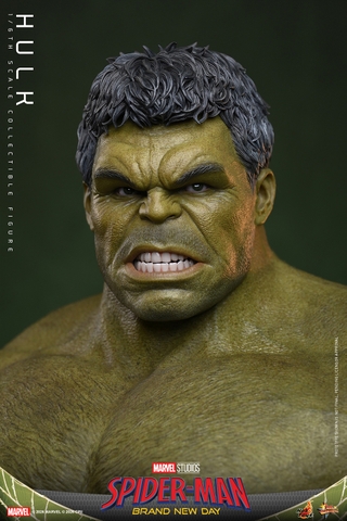 [Pre-order] [Movie Masterpiece] (Spider-Man: Brand New Day) 1/6 Scale Figure Hulk