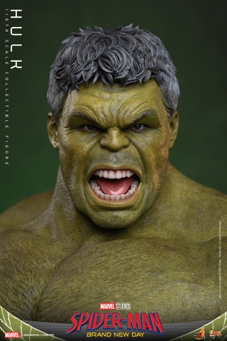 [Pre-order] [Movie Masterpiece] (Spider-Man: Brand New Day) 1/6 Scale Figure Hulk
