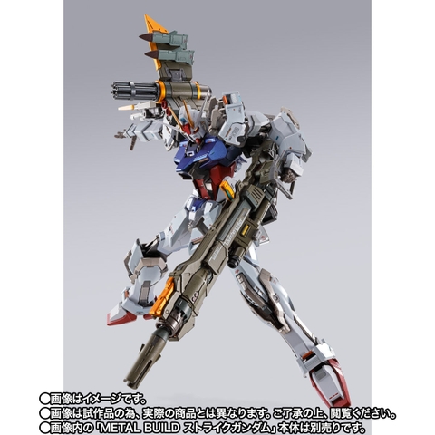 METAL BUILD Launcher Striker -METAL BUILD 10th Ver.-