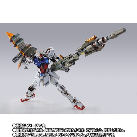 METAL BUILD Launcher Striker -METAL BUILD 10th Ver.-
