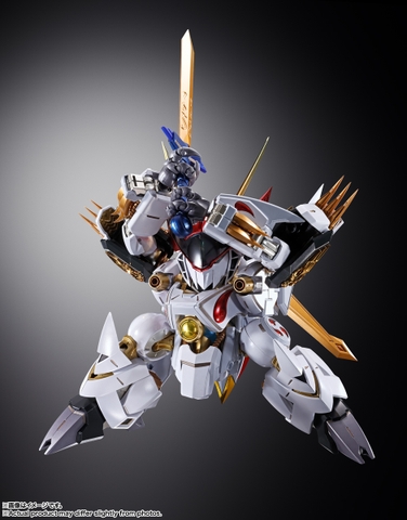 METAL BUILD DRAGON SCALE Ryuoumaru
