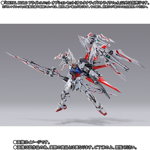 METAL BUILD Flight Unit Option Set (Alternative Strike Ver.)