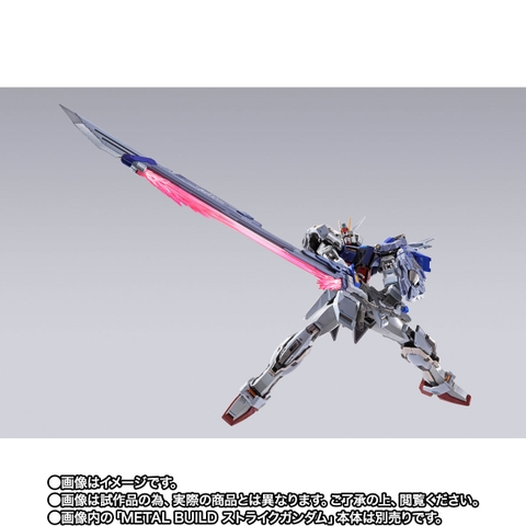 METAL BUILD Sword Striker -METAL BUILD 10th Ver.-