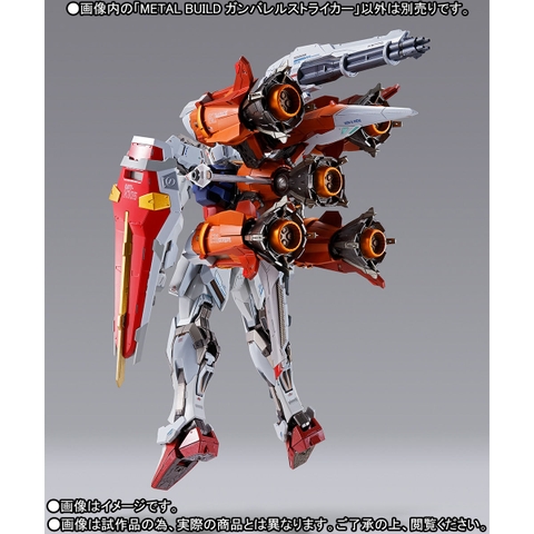 METAL BUILD Gunbarrel Striker