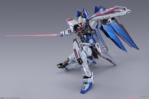 METAL BUILD Freedom Gundam CONCEPT 2