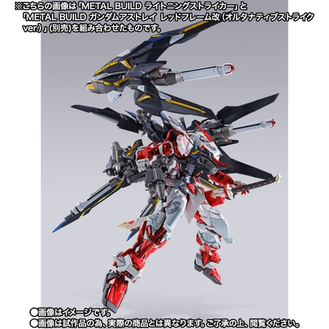 METAL BUILD Lightning Striker