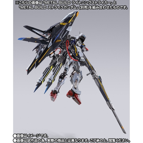 METAL BUILD Lightning Striker