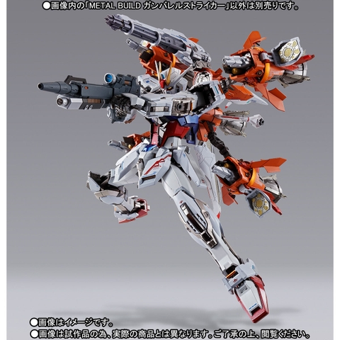 METAL BUILD Gunbarrel Striker